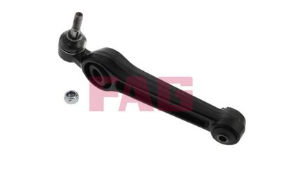 Control/Trailing Arm, wheel suspension Schaeffler FAG 821 0582 10