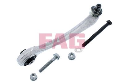 Control/Trailing Arm, wheel suspension Schaeffler FAG 821 0656 10