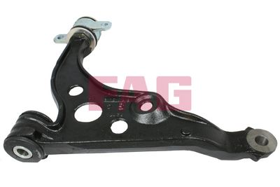 Control/Trailing Arm, wheel suspension Schaeffler FAG 821 0858 10