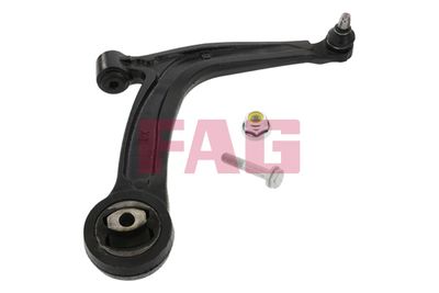 Control/Trailing Arm, wheel suspension Schaeffler FAG 821 0869 10