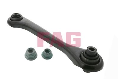 Control/Trailing Arm, wheel suspension Schaeffler FAG 821 1024 10