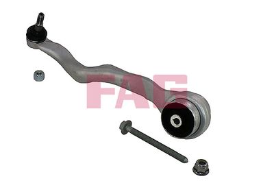 Control/Trailing Arm, wheel suspension Schaeffler FAG 821 1050 10