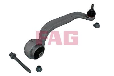 Control/Trailing Arm, wheel suspension Schaeffler FAG 821 1259 10