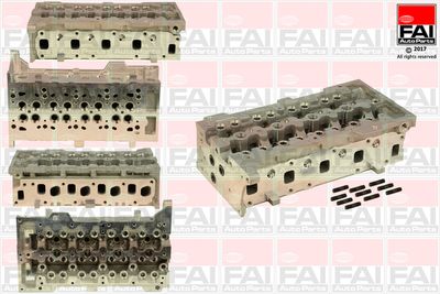 Cylinder Head FAI AutoParts BCH011