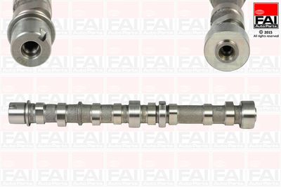 Camshaft FAI AutoParts C254