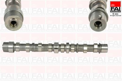 Camshaft FAI AutoParts C255