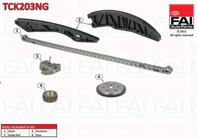 Timing Chain Kit FAI AutoParts TCK203NG