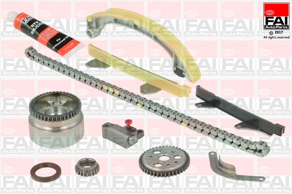 FAI AutoParts TCK82VVT Timing Chain Kit