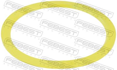 Gasket, differential FEBEST 1699-W463OS