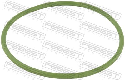 Seal, fuel sender unit FEBEST RINGFL-037