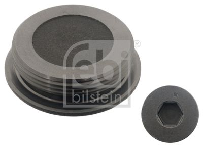 Screw plug, cylinder head FEBI BILSTEIN 04818