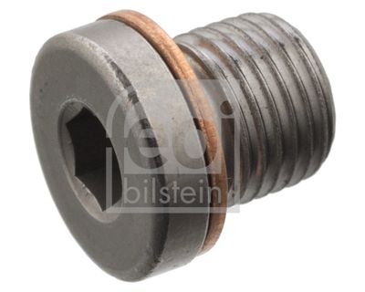 Screw Plug, axle drive FEBI BILSTEIN 101021