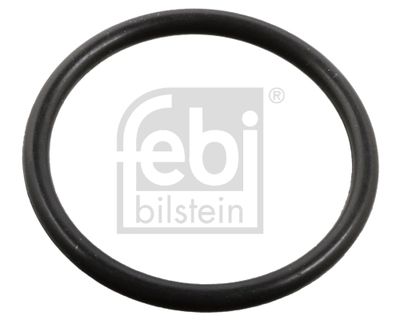 Seal Ring, injector FEBI BILSTEIN 106612