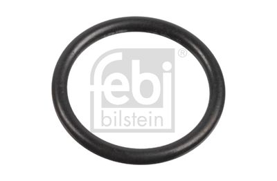 Seal Ring, injector FEBI BILSTEIN 171586