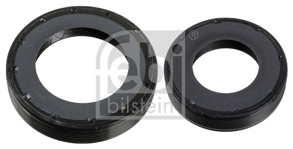 FEBI BILSTEIN 173279 Shaft Seal Set, differential