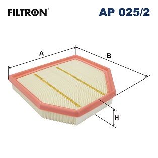 Air Filter FILTRON AP 025/2