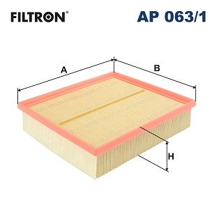 FILTRON AP 063/1 Air Filter