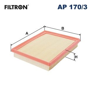 Air Filter FILTRON AP 170/3