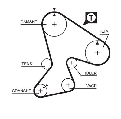 Timing Belt GATES 5040XS