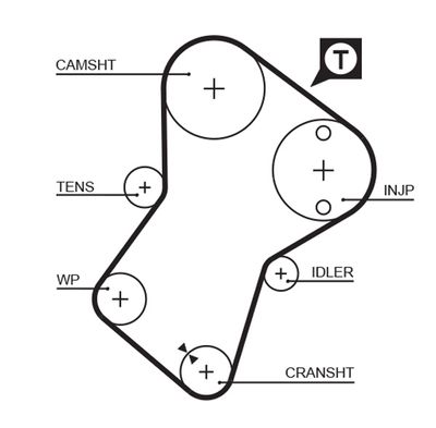 Timing Belt GATES 5049XS