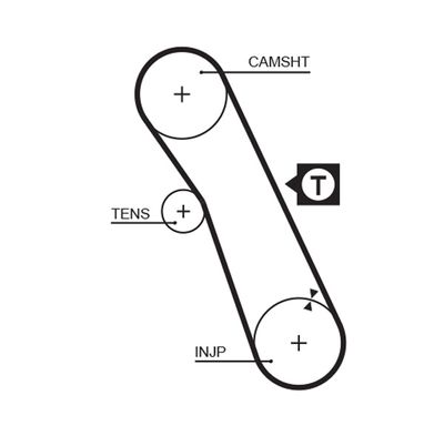 Timing Belt GATES 5055XS