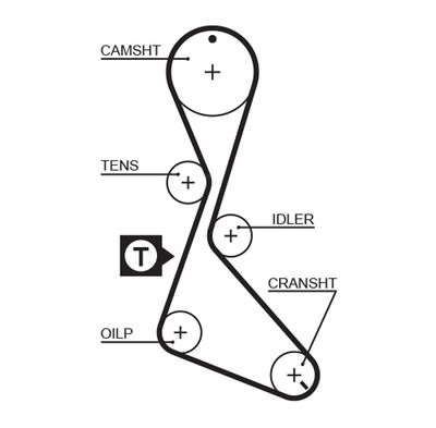 Timing Belt GATES 5056