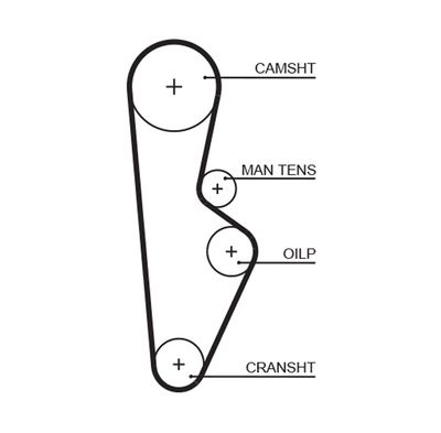 Timing Belt GATES 5082XS