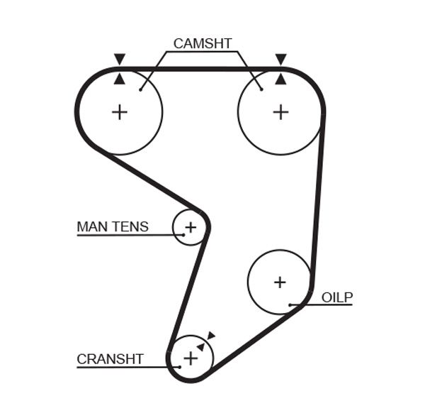 GATES 5195XS Timing Belt