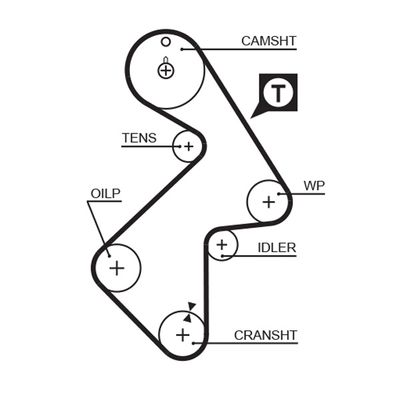 Timing Belt GATES 5202XS