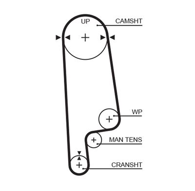 Timing Belt GATES 5236XS