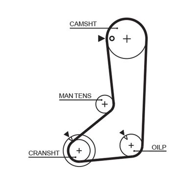 Timing Belt GATES 5254XS