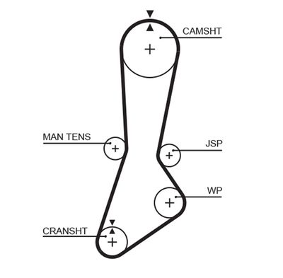 Timing Belt GATES 5301XS