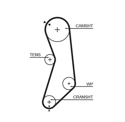 Timing Belt GATES 5319