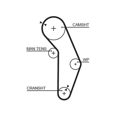 Timing Belt GATES 5352XS