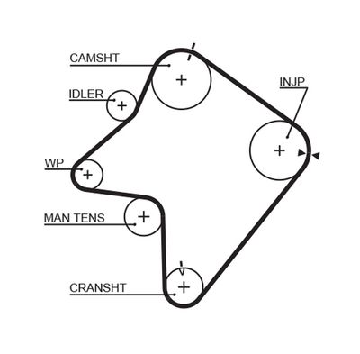 Timing Belt GATES 5354XS