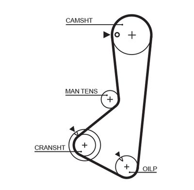 Timing Belt GATES 5372XS