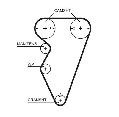 Timing Belt GATES 5416XS