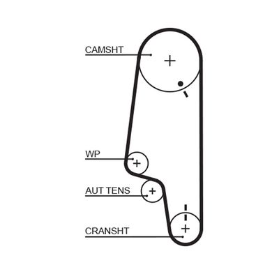 Timing Belt GATES 5428XS