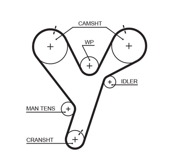 GATES 5446XS Timing Belt