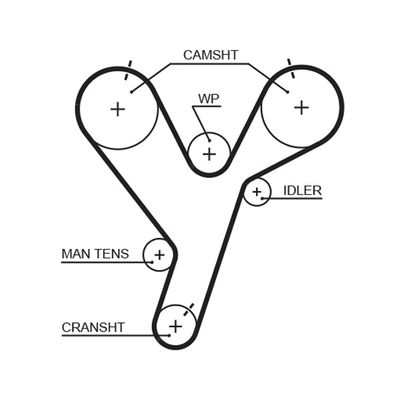 Timing Belt GATES 5446XS