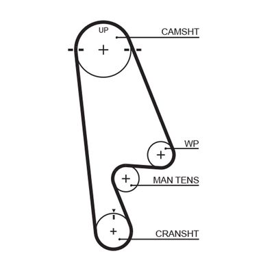 Timing Belt GATES 5480XS