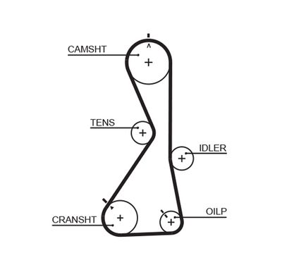 Timing Belt GATES 5481XS