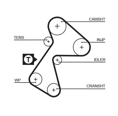 Timing Belt GATES 5484XS