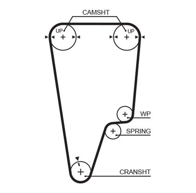 Timing Belt GATES 5505XS