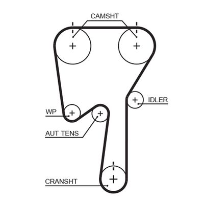 Timing Belt GATES 5509XS