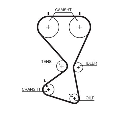 Timing Belt GATES 5556XS