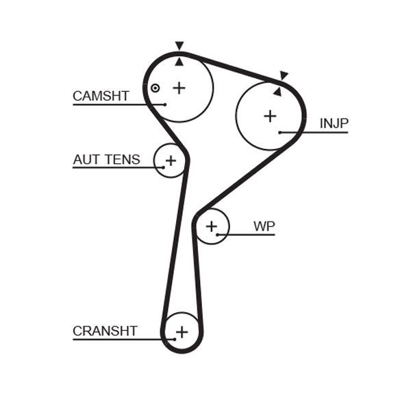 GATES 5578XS Timing Belt