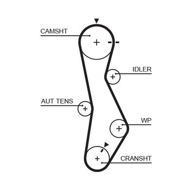 Timing Belt GATES 5579XS