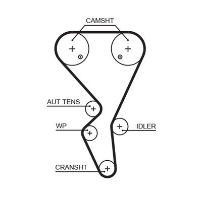 Timing Belt GATES 5581XS