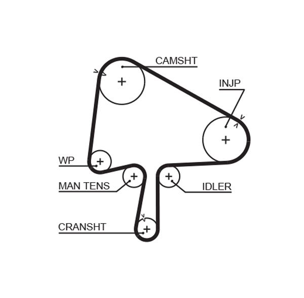 GATES 5596XS Timing Belt